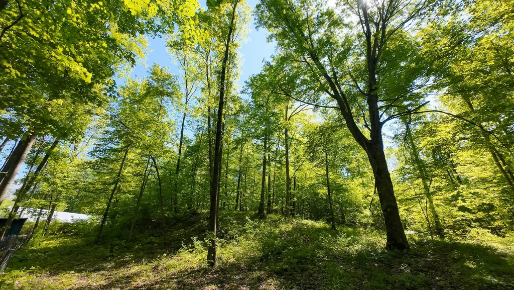 4196 W 4 Mile Road Lincoln Township MI 49349
