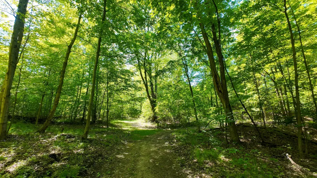 4196 W 4 Mile Road Lincoln Township MI 49349