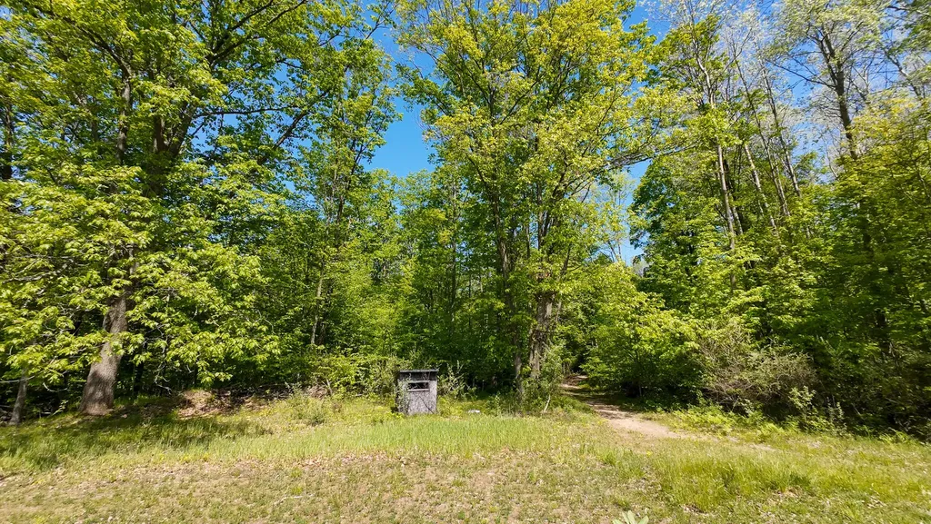 4196 W 4 Mile Road Lincoln Township MI 49349