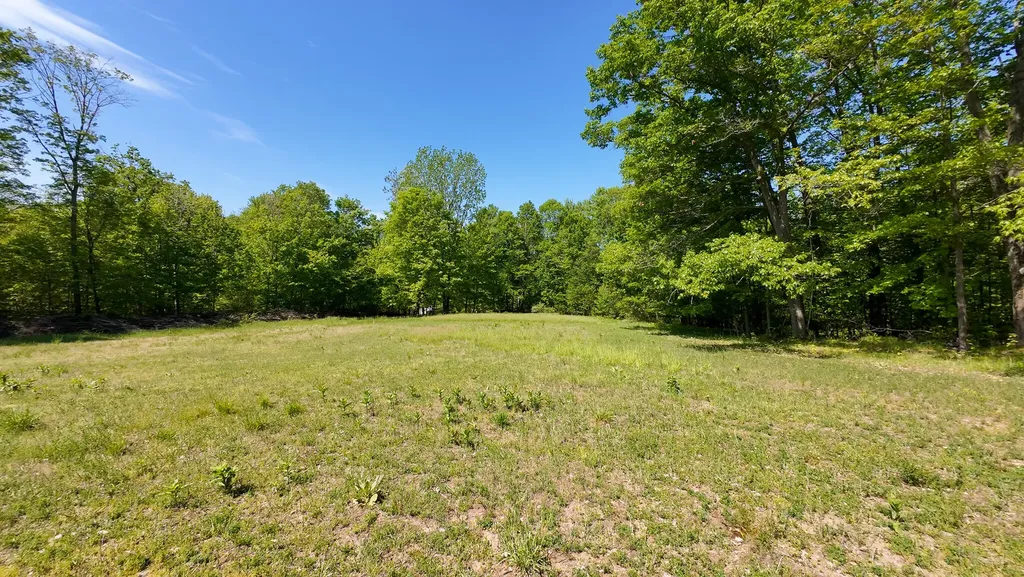 4196 W 4 Mile Road Lincoln Township MI 49349