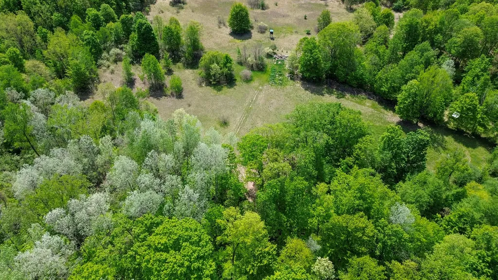 4196 W 4 Mile Road Lincoln Township MI 49349
