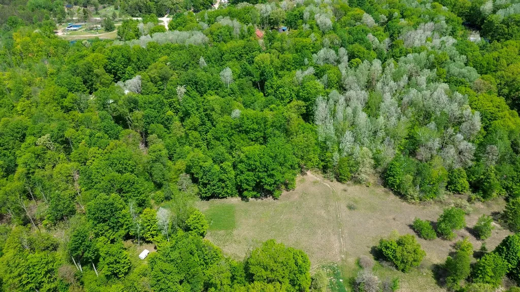 4196 W 4 Mile Road Lincoln Township MI 49349