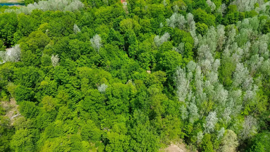 4196 W 4 Mile Road Lincoln Township MI 49349