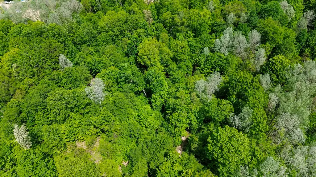 4196 W 4 Mile Road Lincoln Township MI 49349