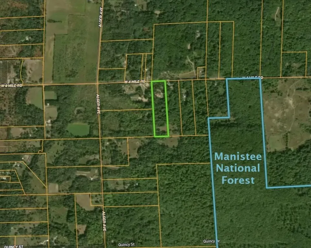 4196 W 4 Mile Road Lincoln Township MI 49349