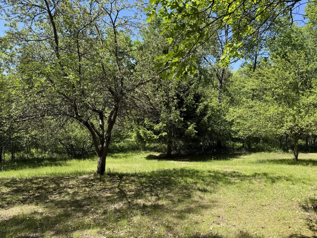 22469 165th Avenue Grant Township MI 49639