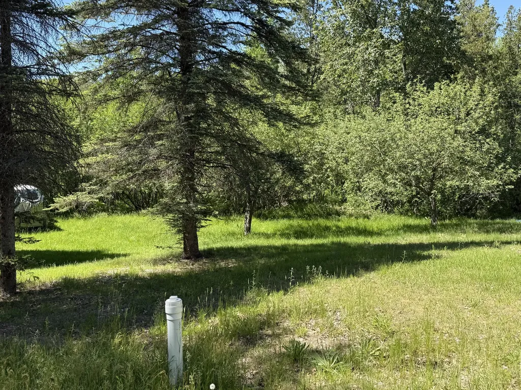 22469 165th Avenue Grant Township MI 49639
