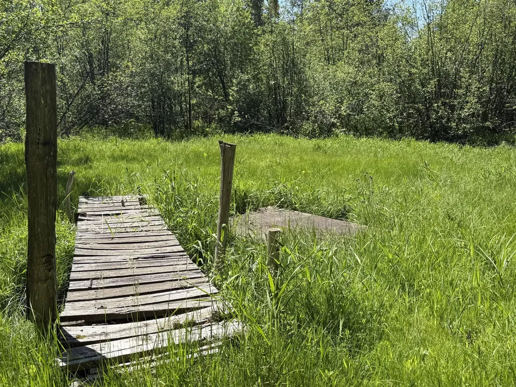 22469 165th Avenue Grant Township MI 49639