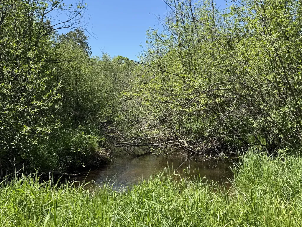 22469 165th Avenue Grant Township MI 49639