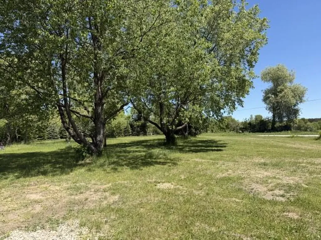 2906 S 33 Road Selma Township MI 49601