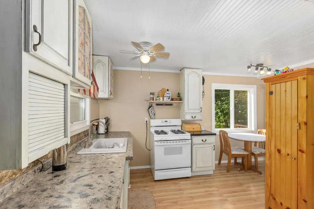 17270 Apache Trail Winfield Township MI 49329