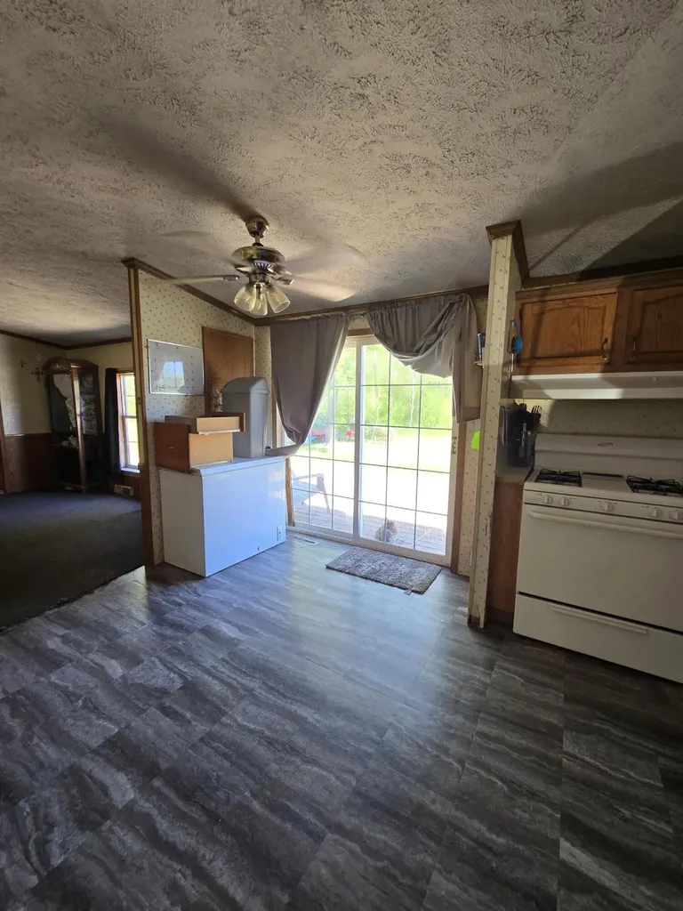 3384 E 56th Street Yates Township MI 49623