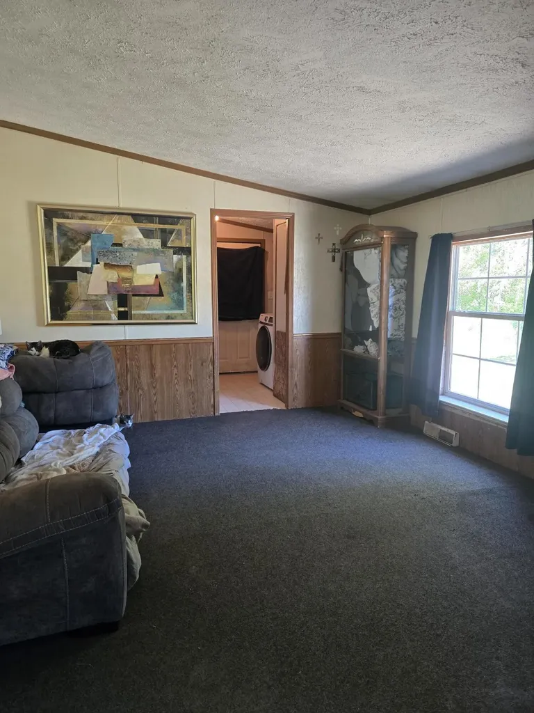 3384 E 56th Street Yates Township MI 49623
