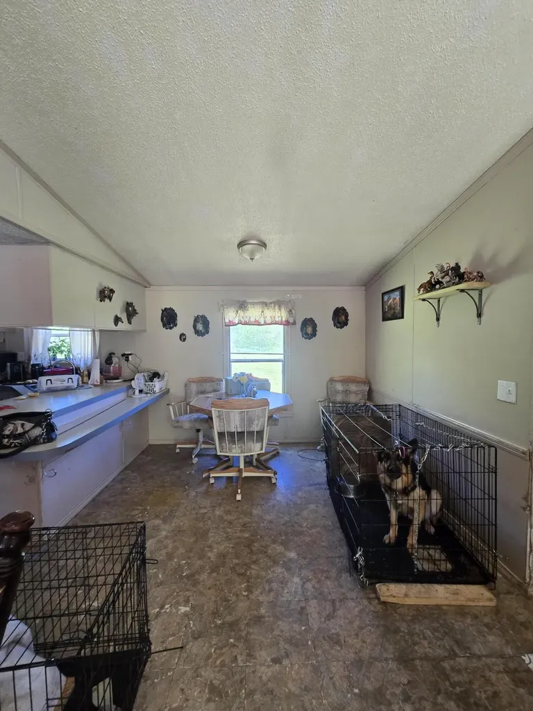 3384 E 56th Street Yates Township MI 49623