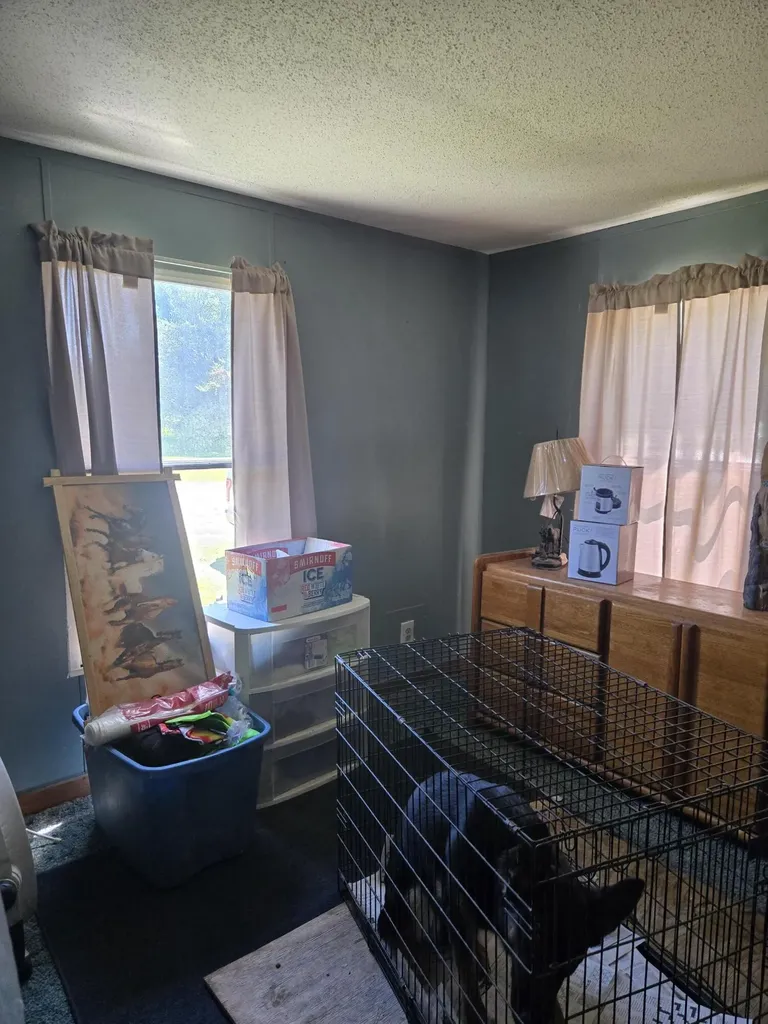 3384 E 56th Street Yates Township MI 49623