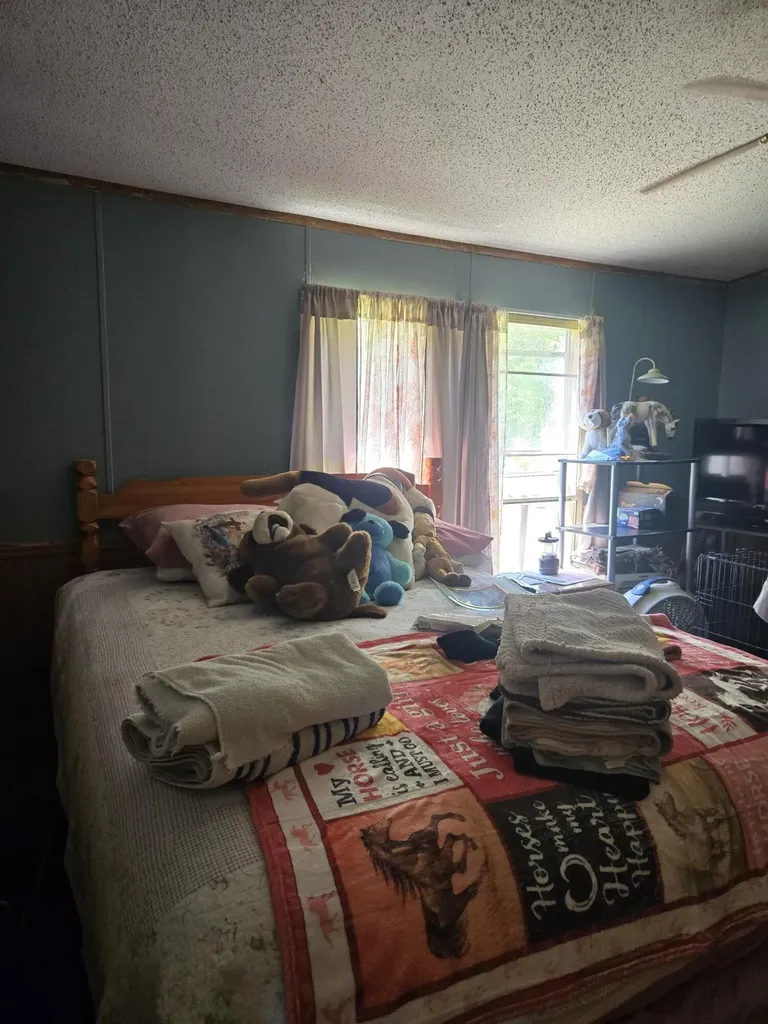3384 E 56th Street Yates Township MI 49623