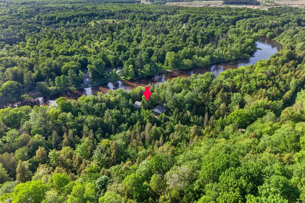 3007 Riverview Drive Hersey Township MI 49639