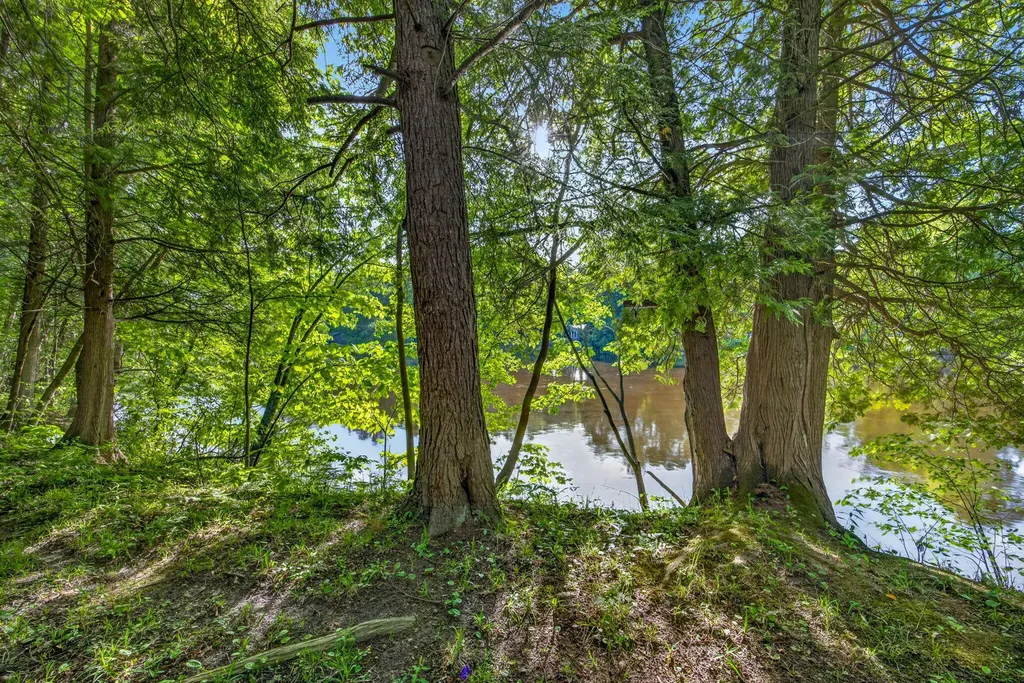 3007 Riverview Drive Hersey Township MI 49639