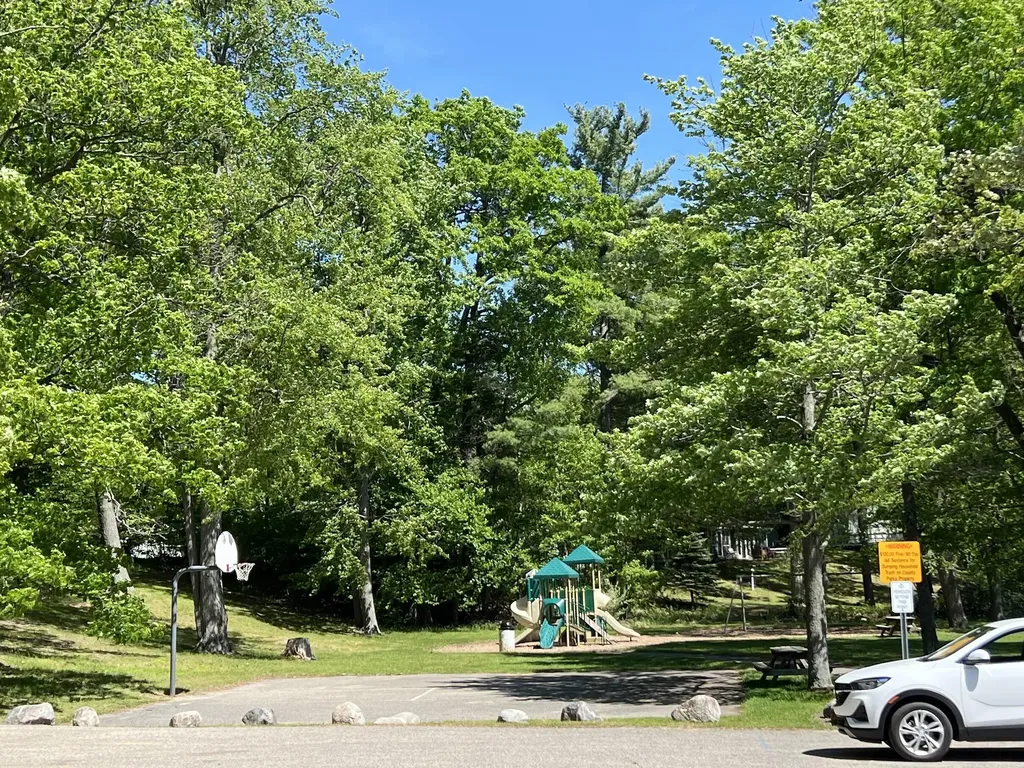 11591 Lark Drive Belvidere Township MI 48850