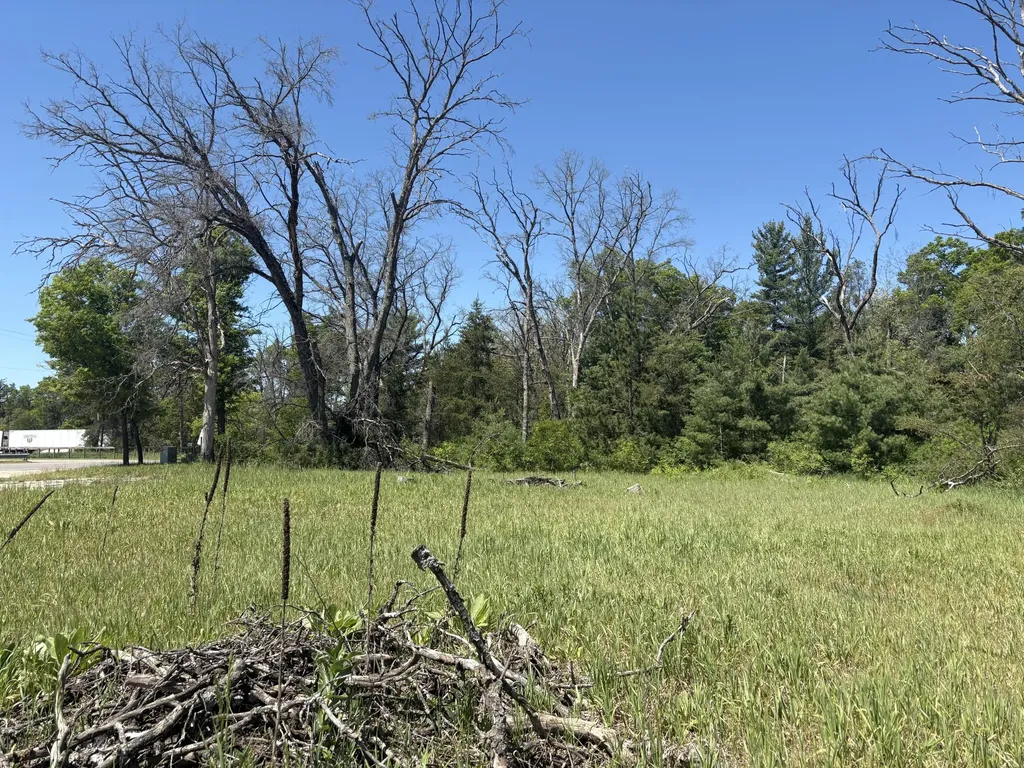 9457 S M 37 Pleasant Plains Township MI 49304