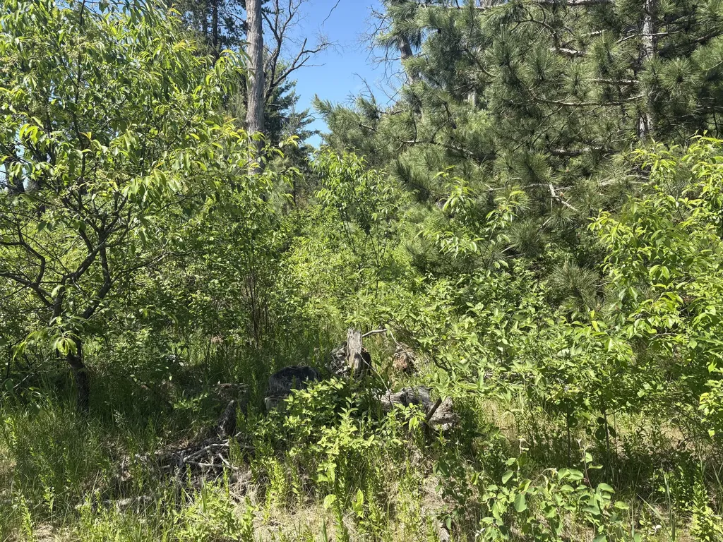 9457 S M 37 Pleasant Plains Township MI 49304