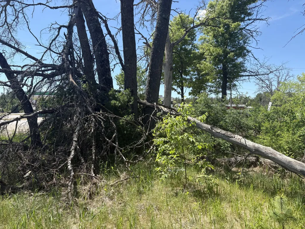 9457 S M 37 Pleasant Plains Township MI 49304