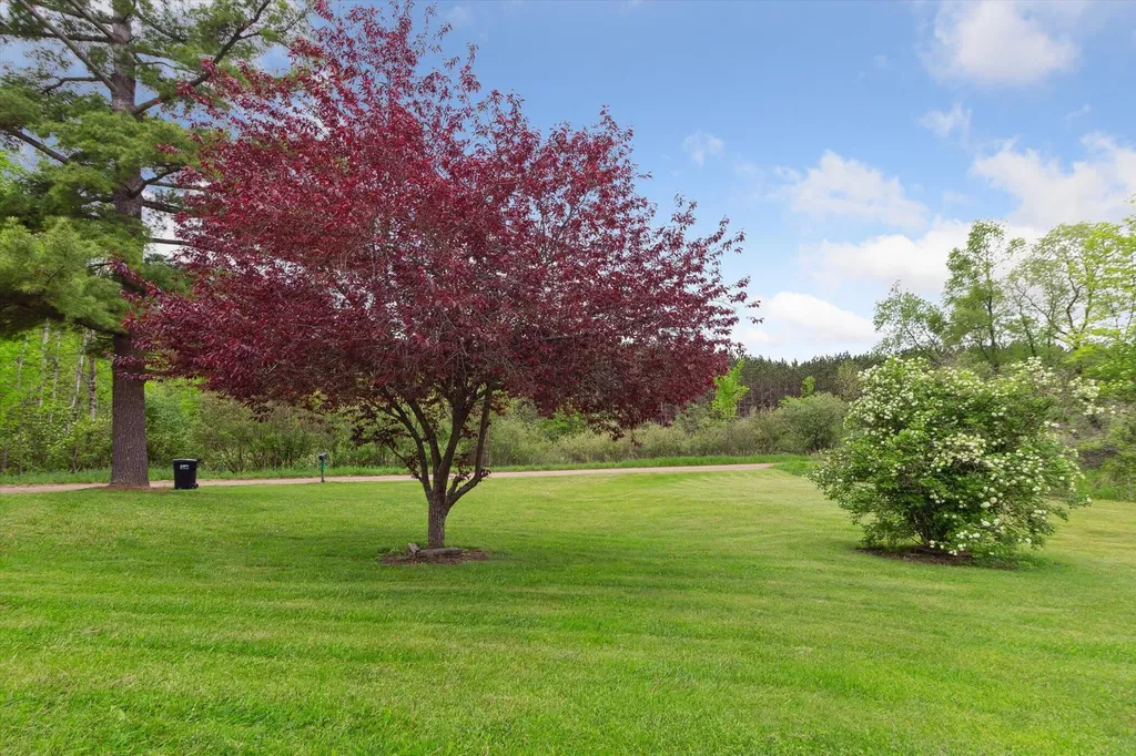 15250 142nd Avenue Colfax Township MI 49307