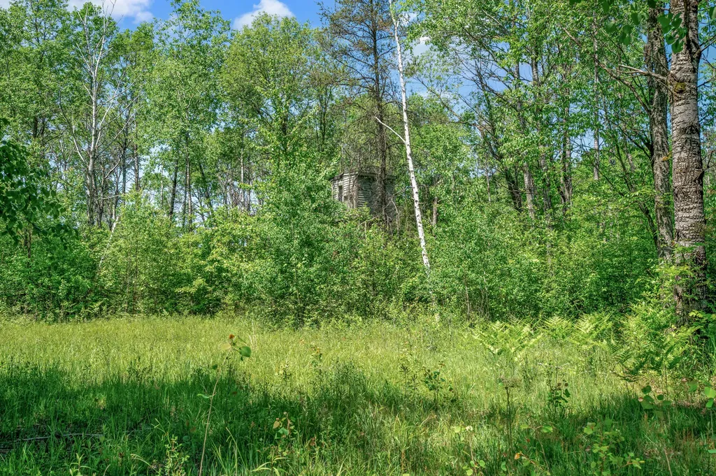 4955 N Thornapple Avenue Monroe Township MI 49349