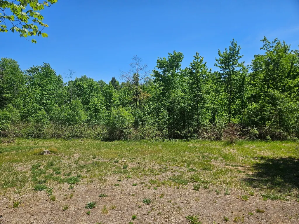 92 N Elm Avenue Goodwell Township MI 49349