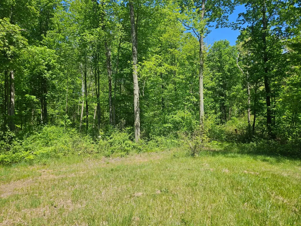 92 N Elm Avenue Goodwell Township MI 49349