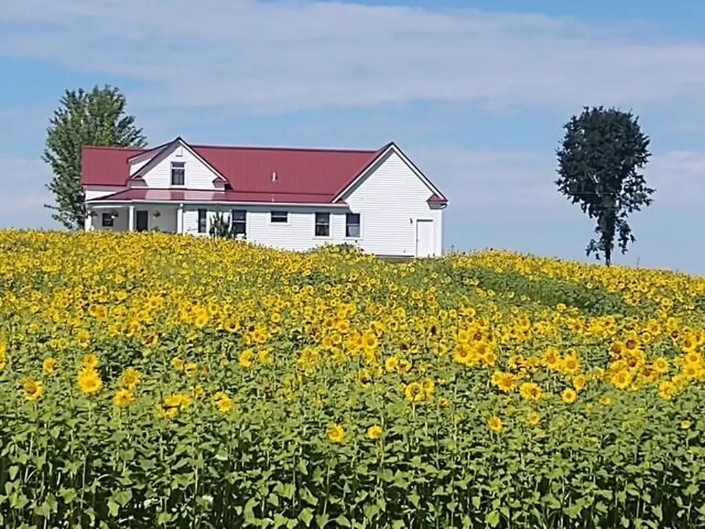 4072 20 Mile Road Marion Township MI 49665