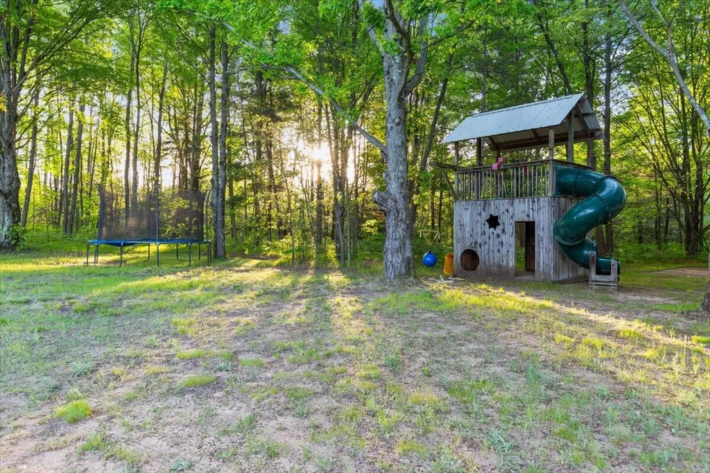 20200 W Lake Montcalm Road Reynolds Township MI 49329