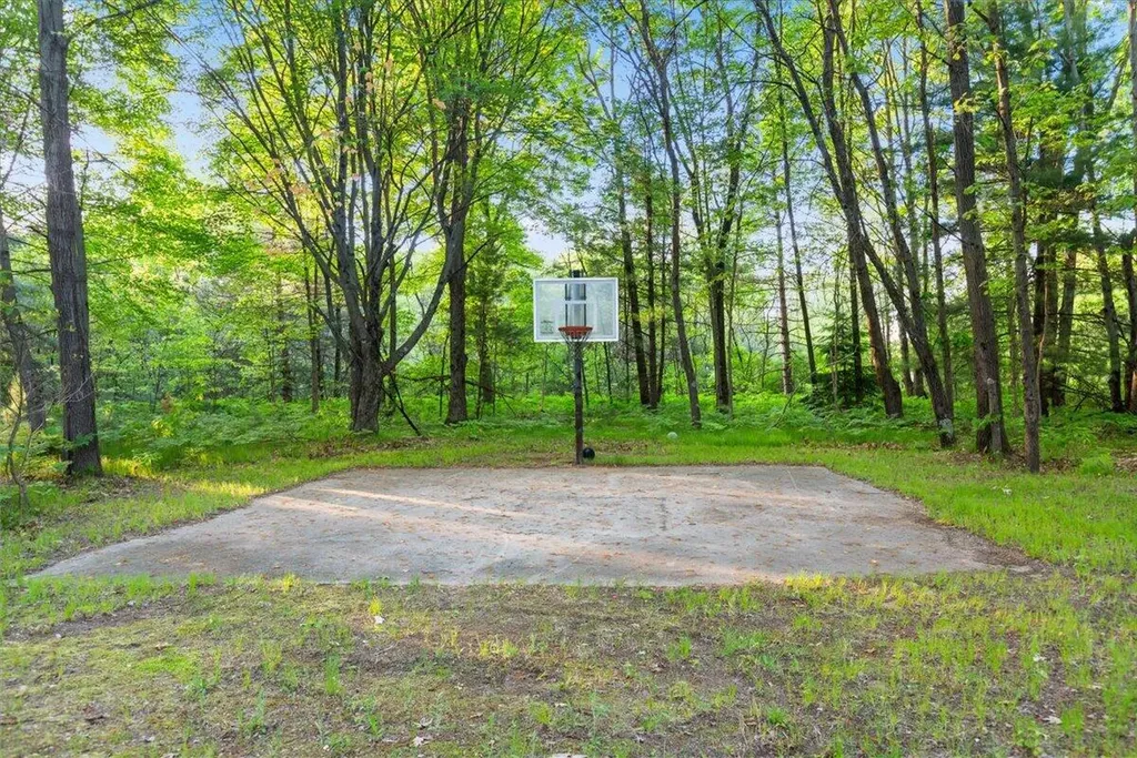 20200 W Lake Montcalm Road Reynolds Township MI 49329