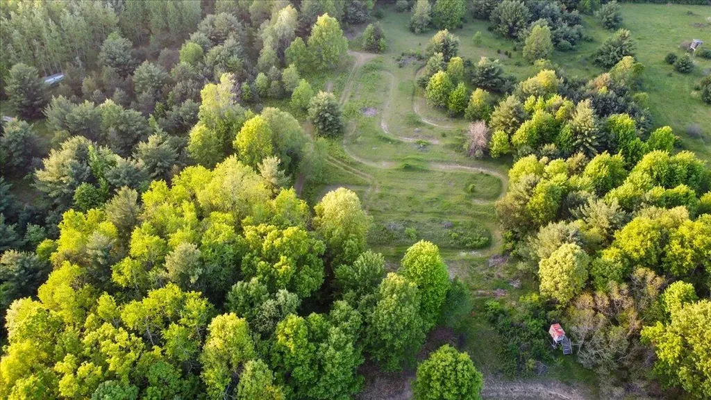 20200 W Lake Montcalm Road Reynolds Township MI 49329