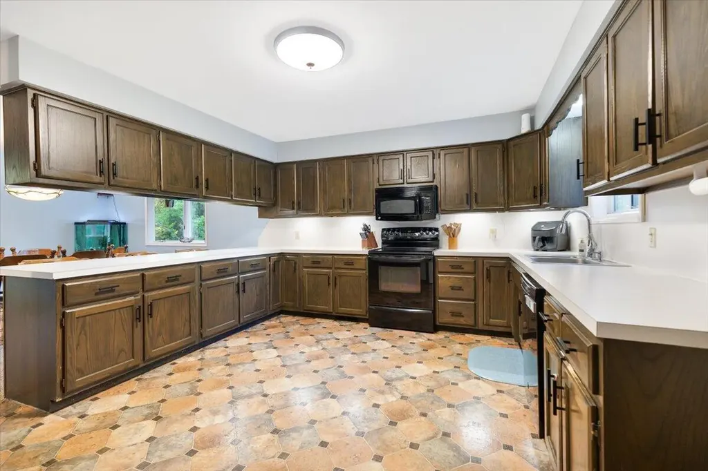 20200 W Lake Montcalm Road Reynolds Township MI 49329