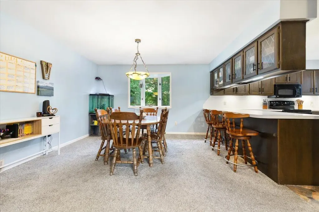 20200 W Lake Montcalm Road Reynolds Township MI 49329