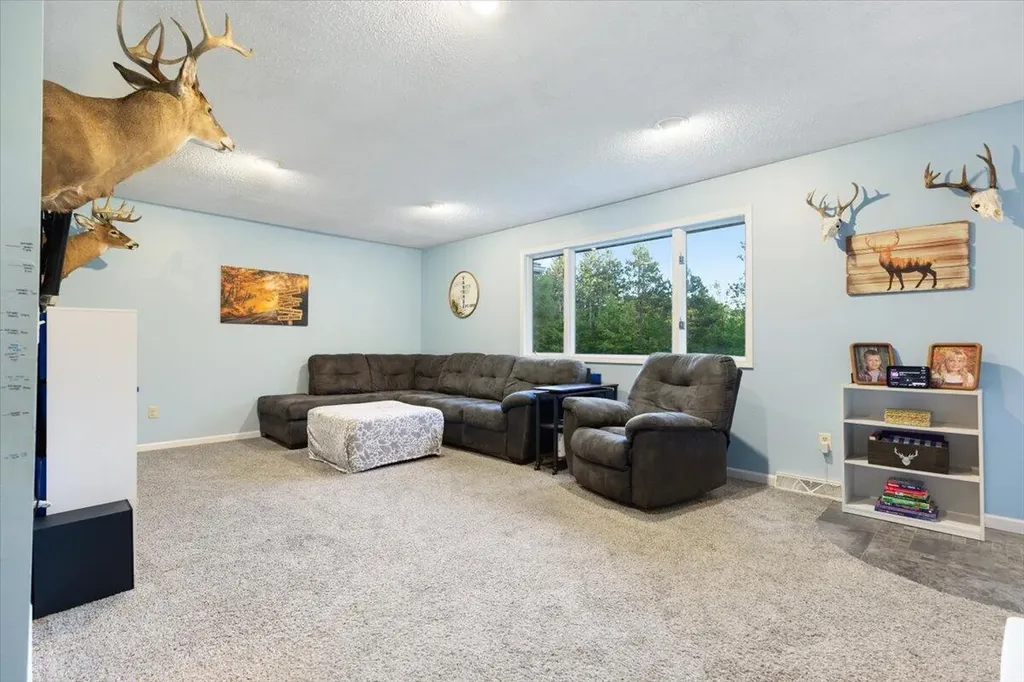20200 W Lake Montcalm Road Reynolds Township MI 49329