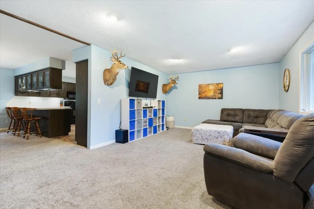 20200 W Lake Montcalm Road Reynolds Township MI 49329