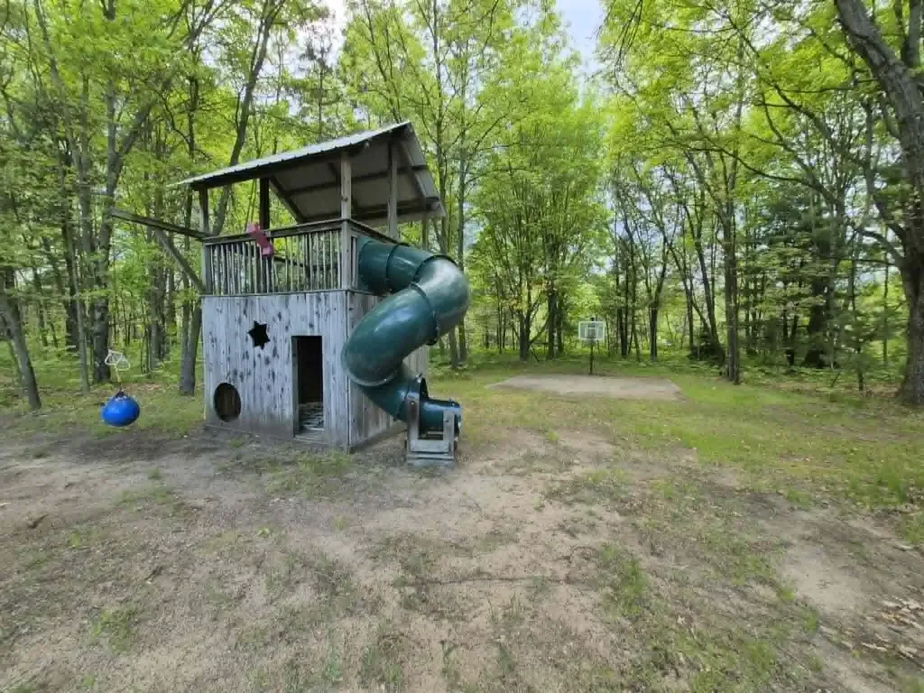 20200 W Lake Montcalm Road Reynolds Township MI 49329