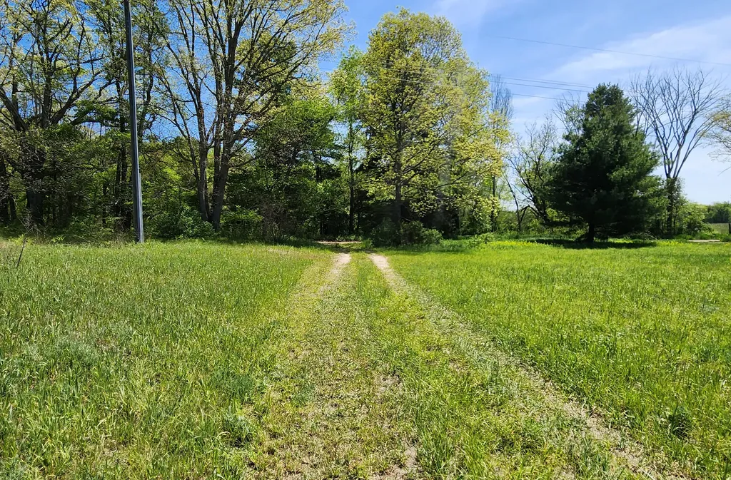 151 S Poplar Avenue Everett Township MI 49349