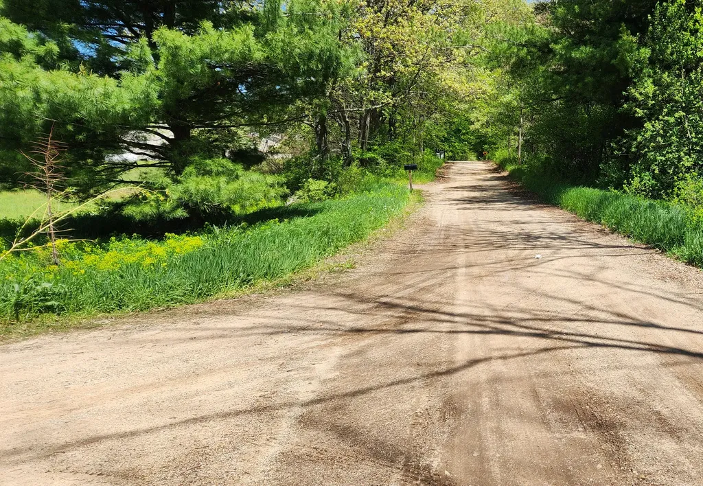 151 S Poplar Avenue Everett Township MI 49349