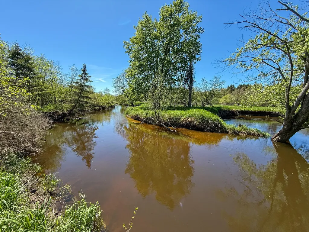 1583 N Dennis Road Amber Township MI 49431