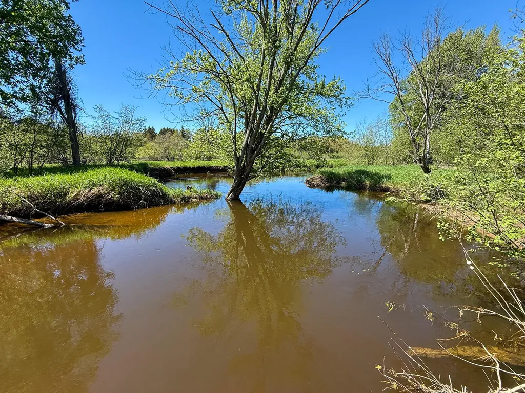 1583 N Dennis Road Amber Township MI 49431