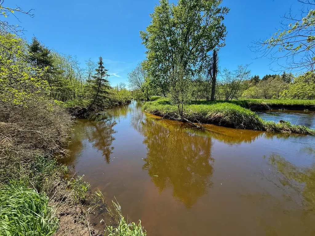1583 N Dennis Road Amber Township MI 49431