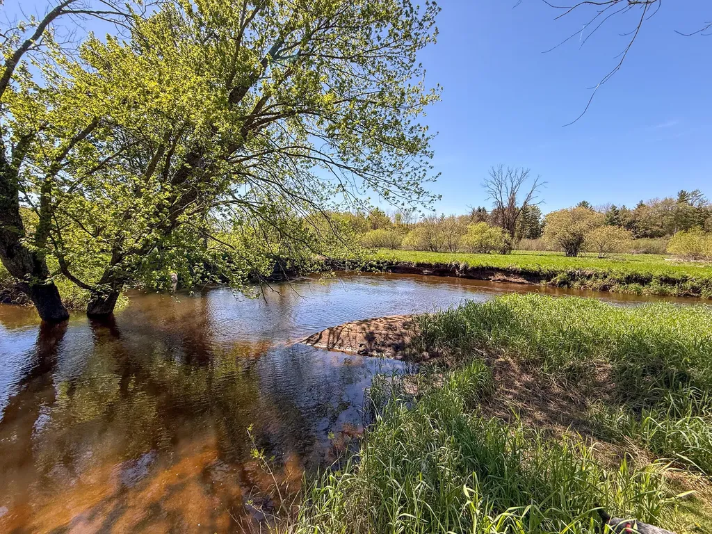 1583 N Dennis Road Amber Township MI 49431