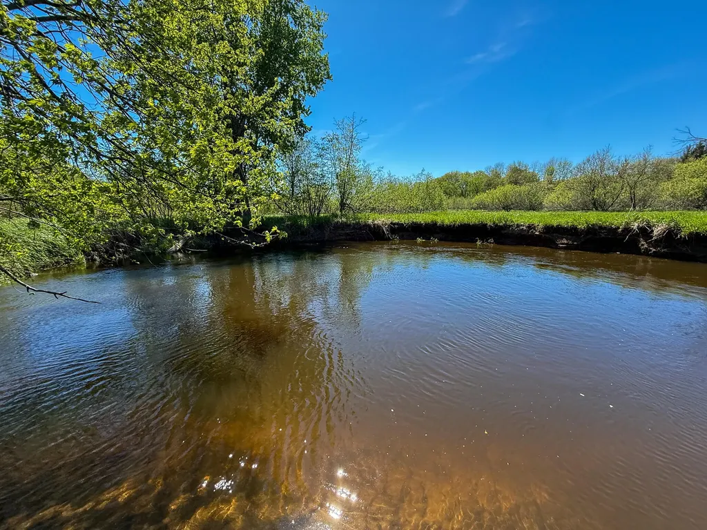 1583 N Dennis Road Amber Township MI 49431