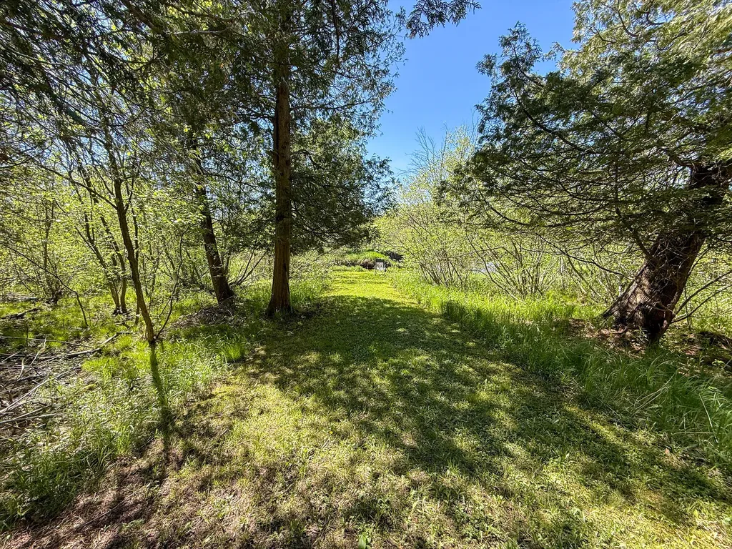 1583 N Dennis Road Amber Township MI 49431