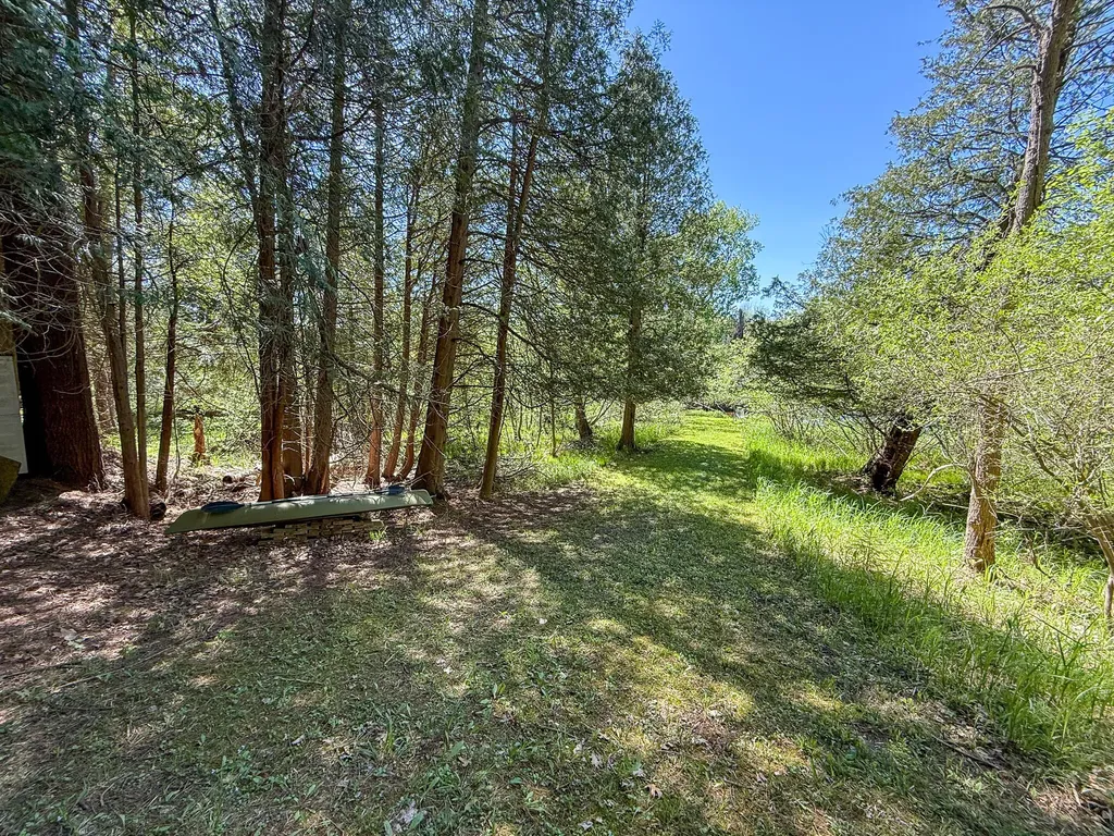 1583 N Dennis Road Amber Township MI 49431