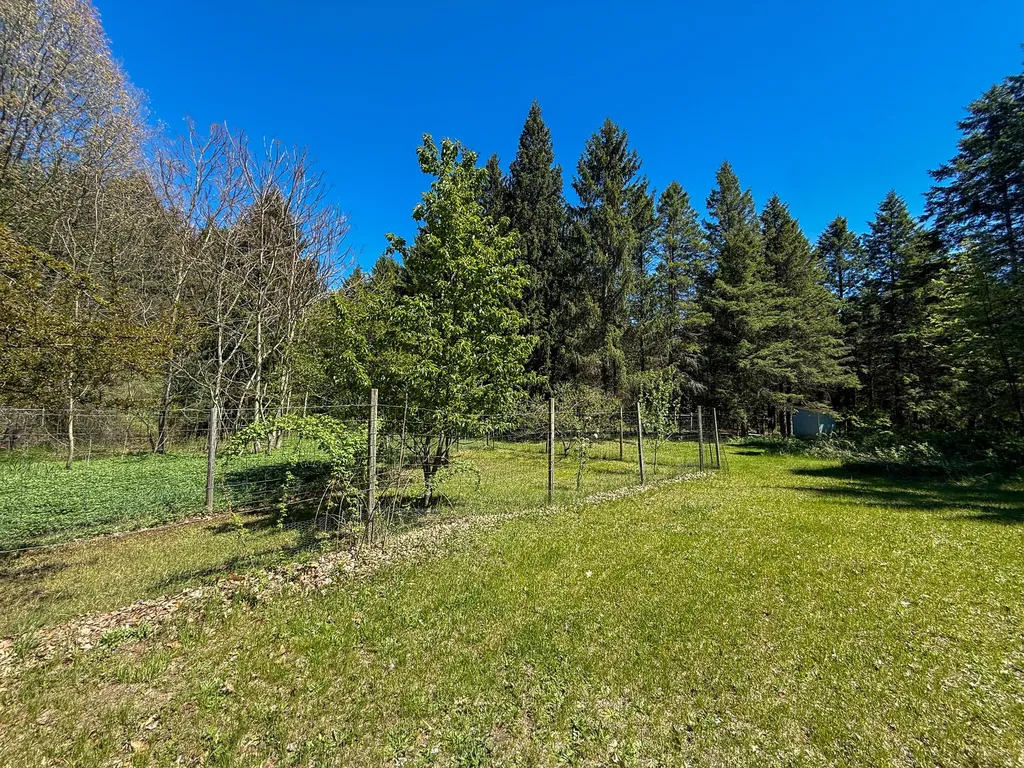 1583 N Dennis Road Amber Township MI 49431