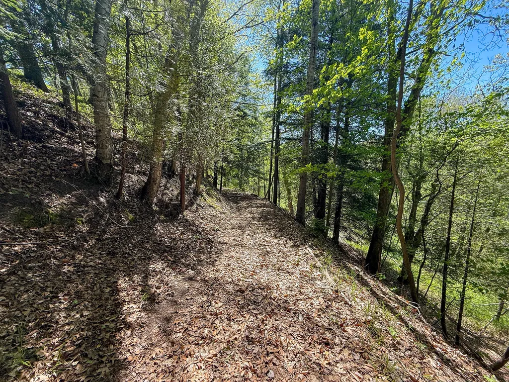 1583 N Dennis Road Amber Township MI 49431
